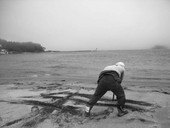 IKIRO_in_Kesennuma_1